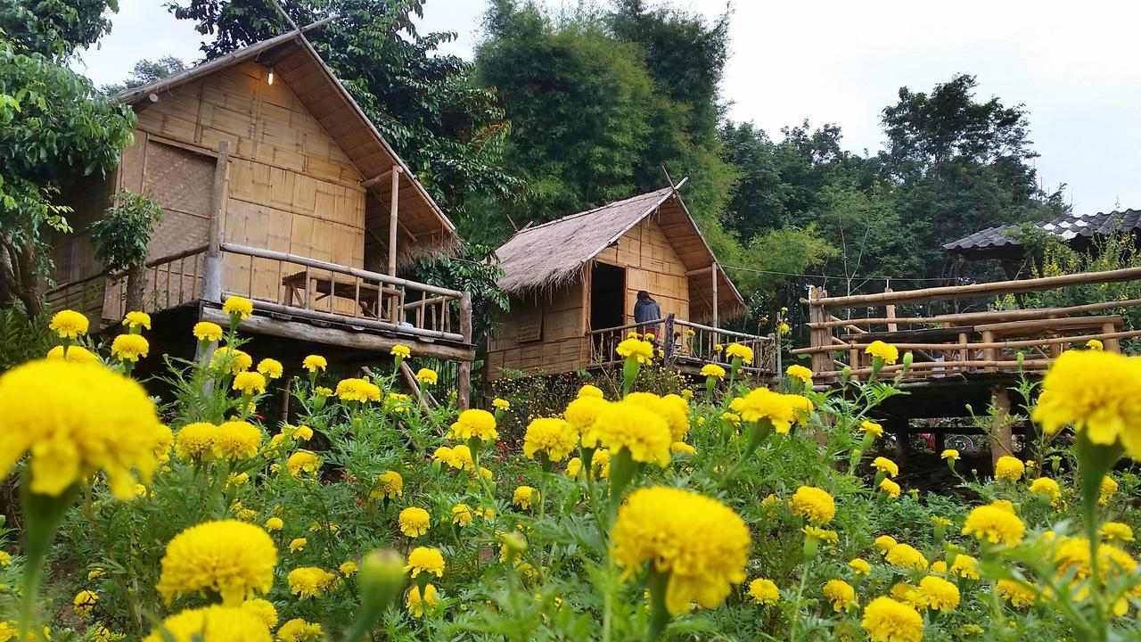 Baan Aingdoi Homestay, Чианг Дао Екстериор снимка