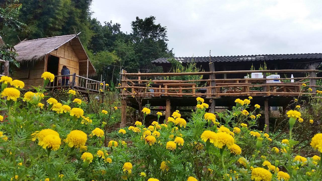 Baan Aingdoi Homestay, Чианг Дао Екстериор снимка