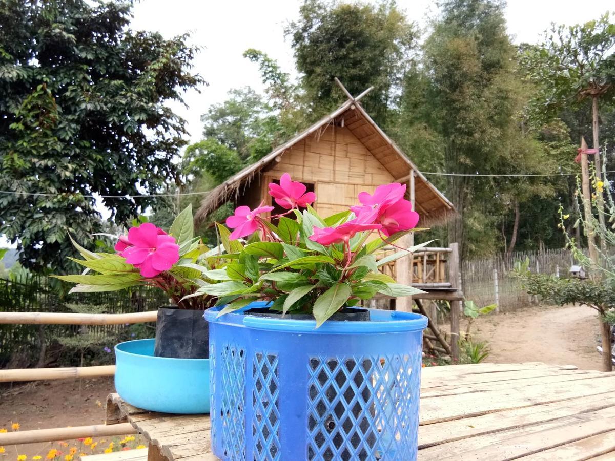 Baan Aingdoi Homestay, Чианг Дао Екстериор снимка