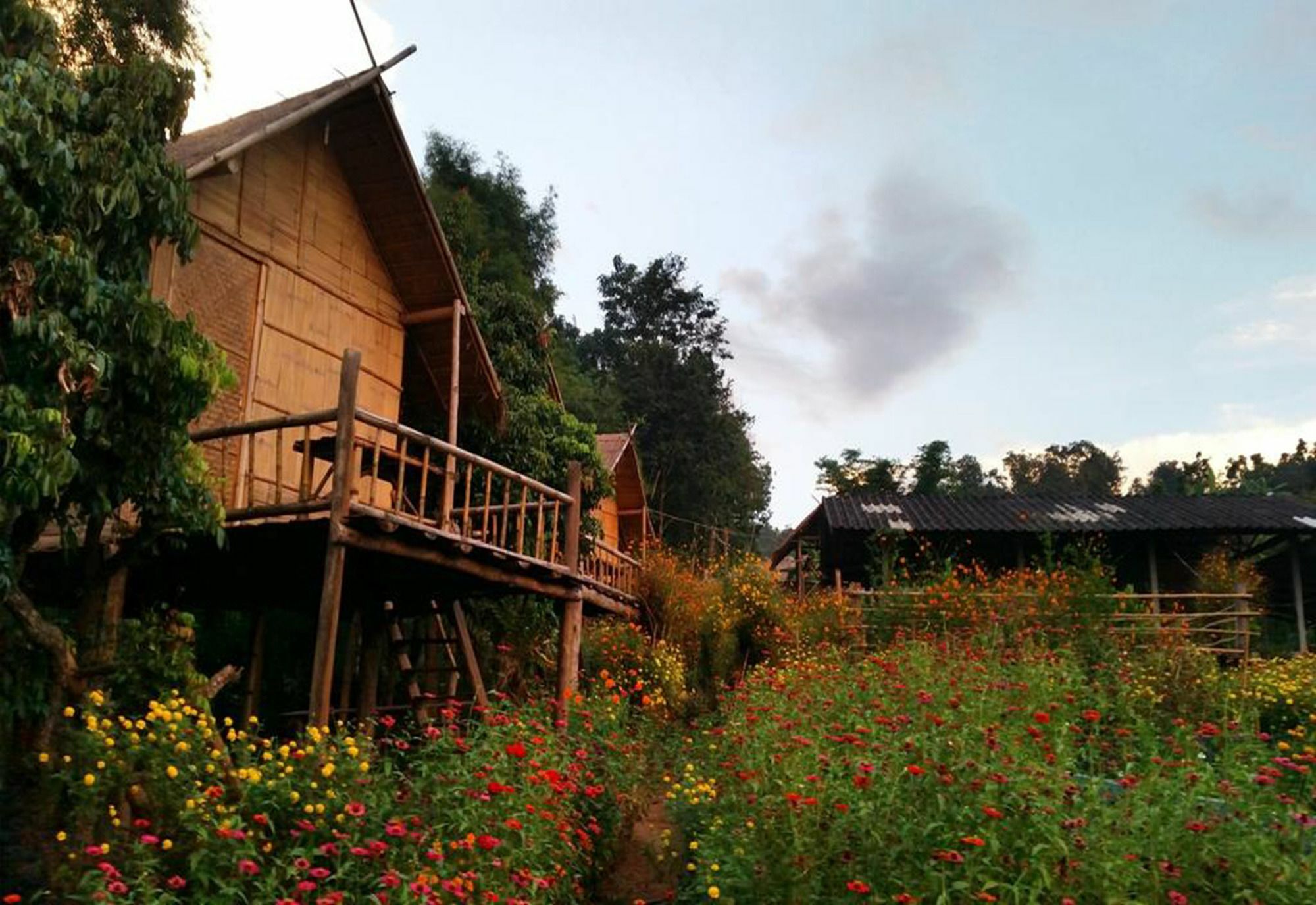 Baan Aingdoi Homestay, Чианг Дао Екстериор снимка