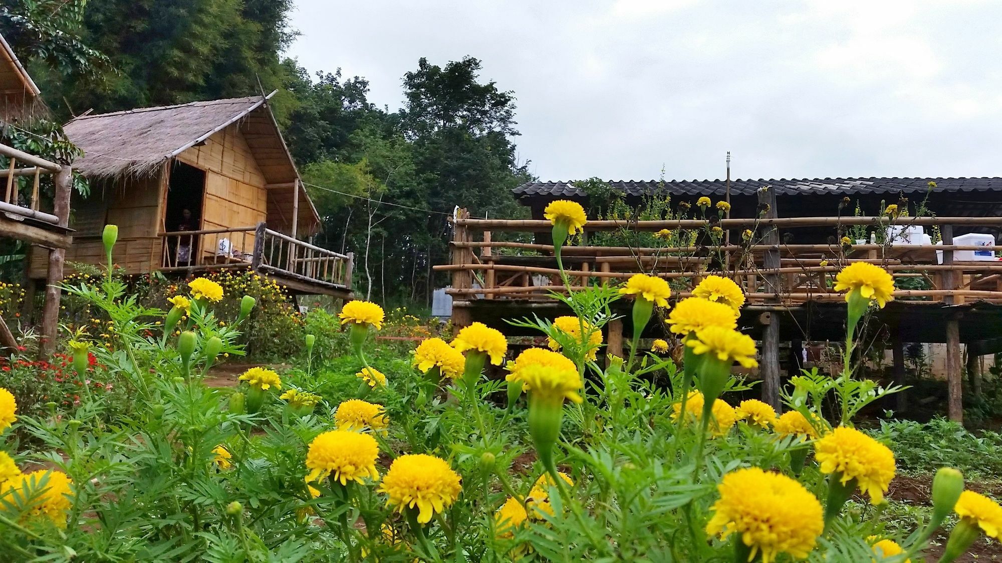 Baan Aingdoi Homestay, Чианг Дао Екстериор снимка
