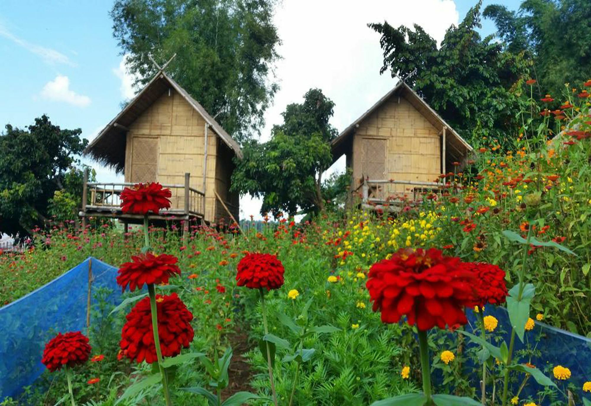 Baan Aingdoi Homestay, Чианг Дао Екстериор снимка