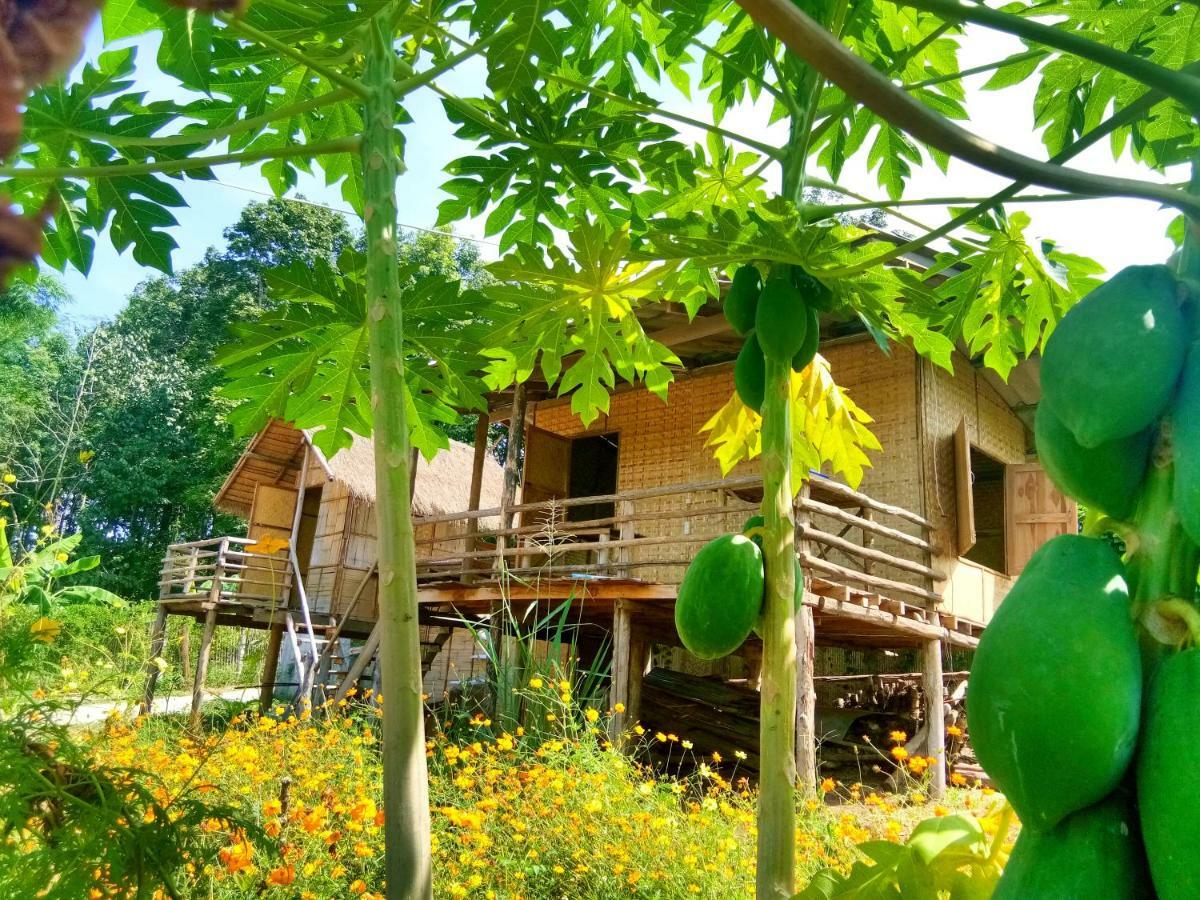 Baan Aingdoi Homestay, Чианг Дао Екстериор снимка
