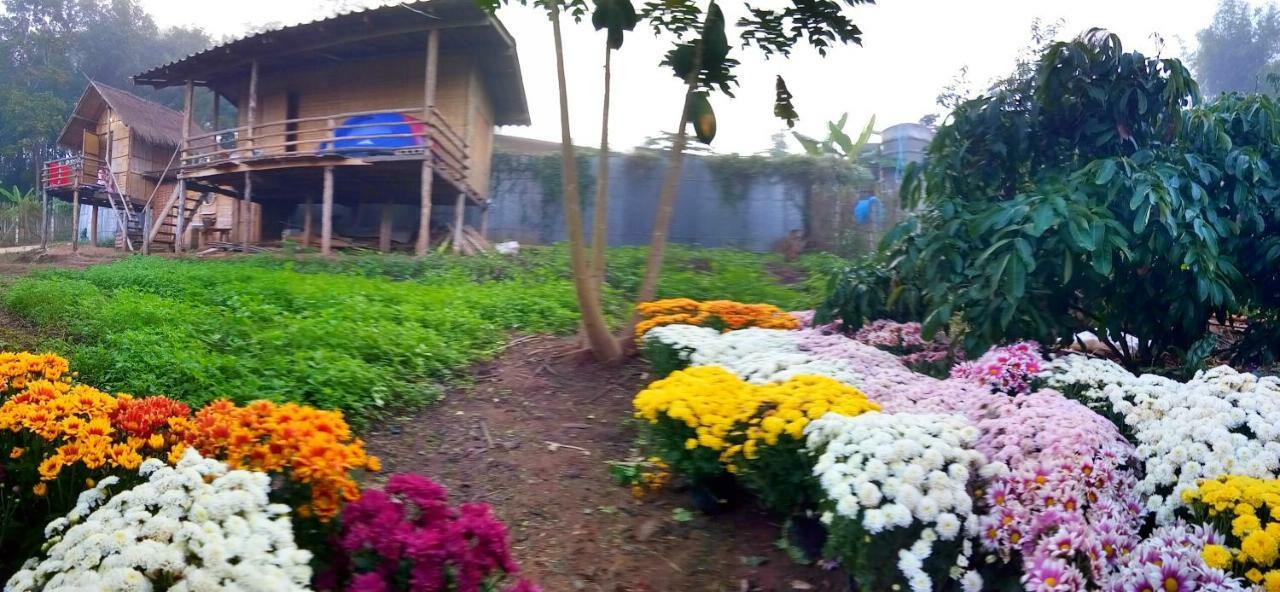 Baan Aingdoi Homestay, Чианг Дао Екстериор снимка