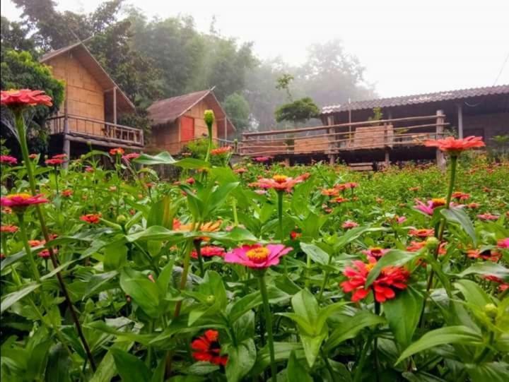 Baan Aingdoi Homestay, Чианг Дао Екстериор снимка
