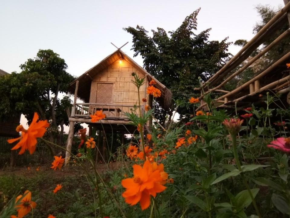 Baan Aingdoi Homestay, Чианг Дао Екстериор снимка