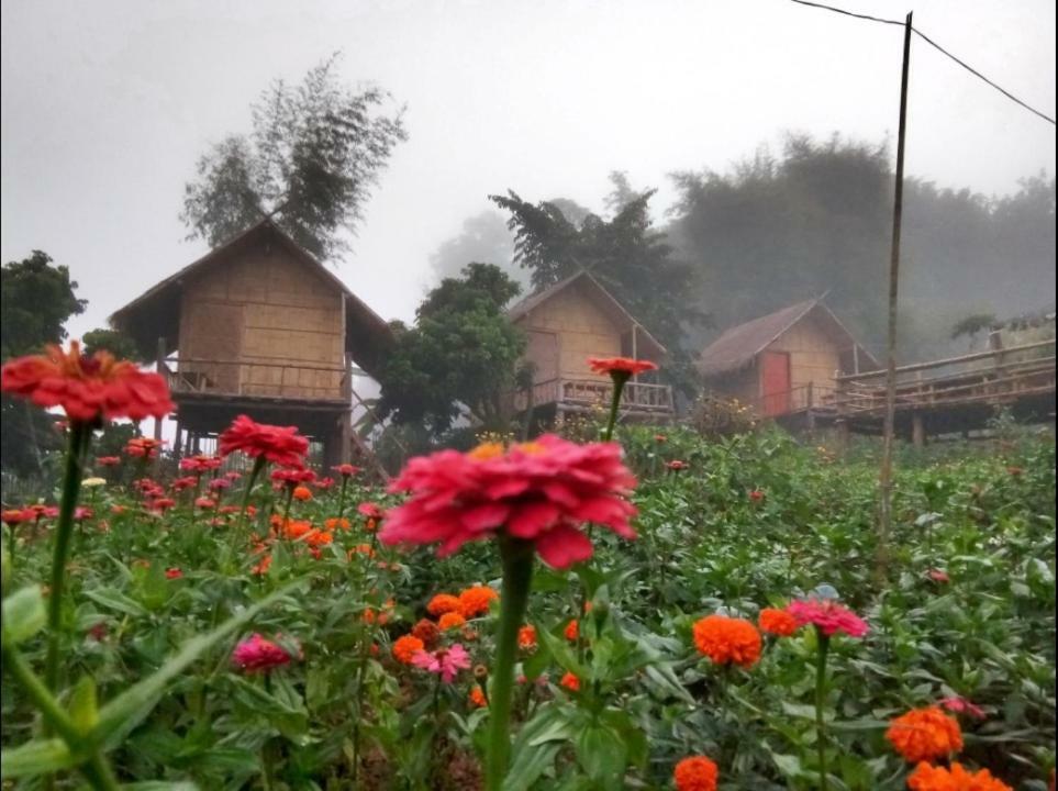 Baan Aingdoi Homestay, Чианг Дао Екстериор снимка